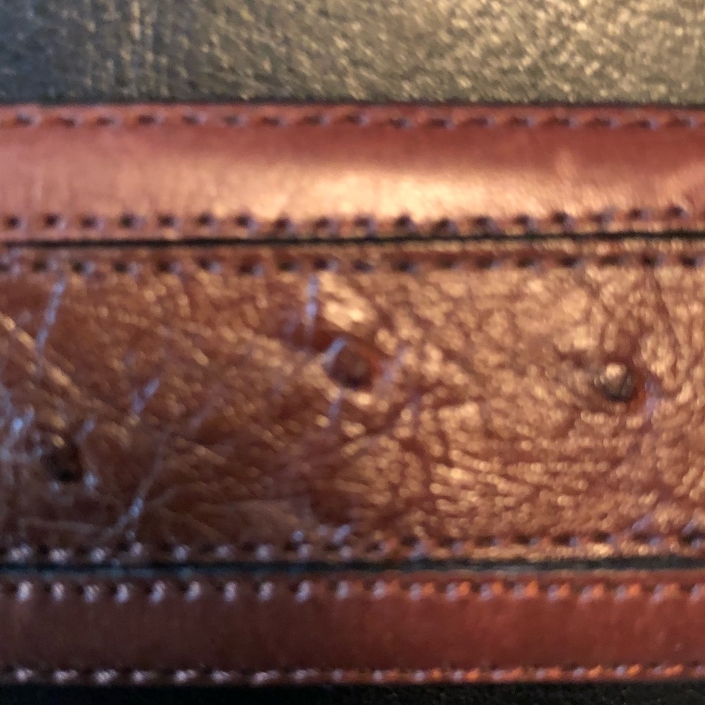 Avventura Genuine Ostrich Men’s Belt